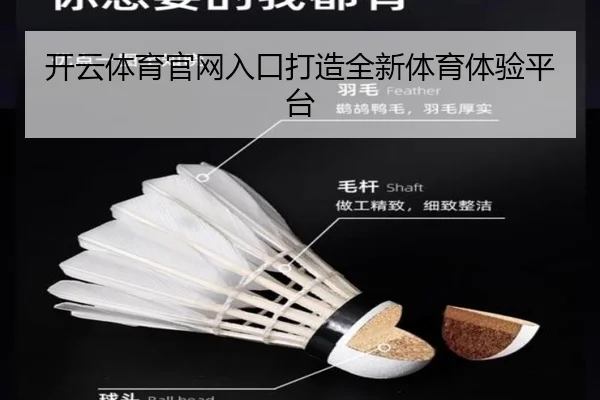 开云体育官网入口打造全新体育体验平台