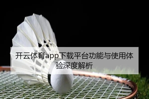 开云体育app下载平台功能与使用体验深度解析