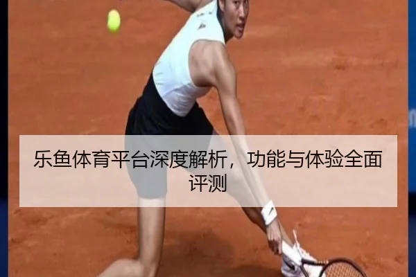 乐鱼体育平台深度解析，功能与体验全面评测